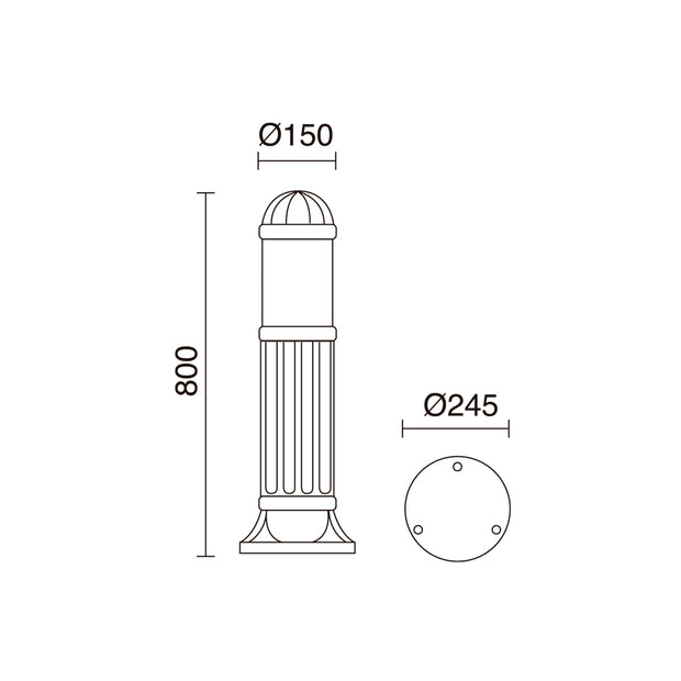 E_Sauro_272B-G05X1A-02.jpg