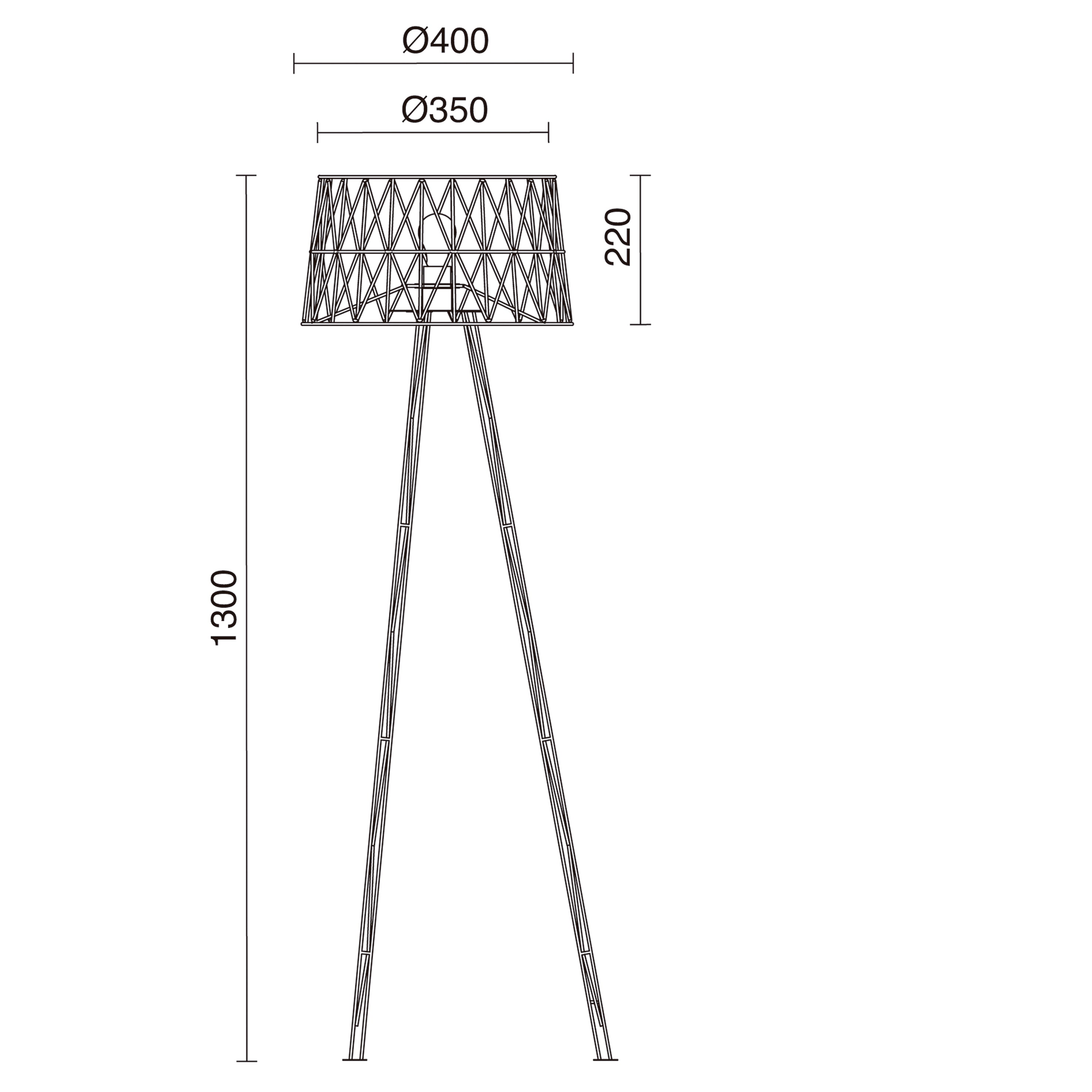 E_Tess_837B-G05X1A.jpg