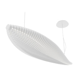 F_Fish_1013B-L3826A-01.jpg