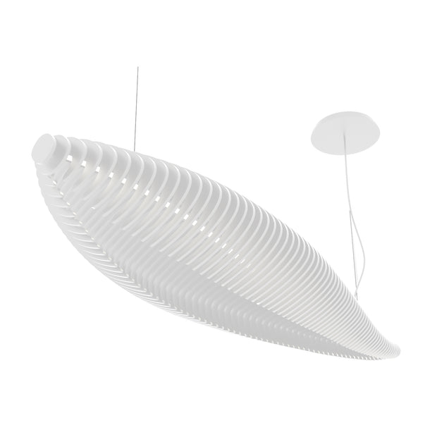 F_Fish_1013B-L4026A-01.jpg